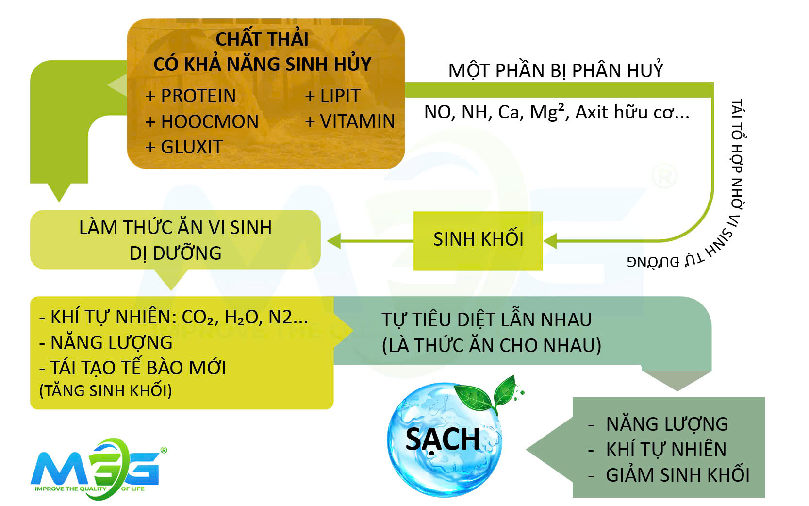 Công nghệ xử lý nước thải Jokaso mới được phát triển và tối ưu thành một vòng tuần hoàn khép kín
