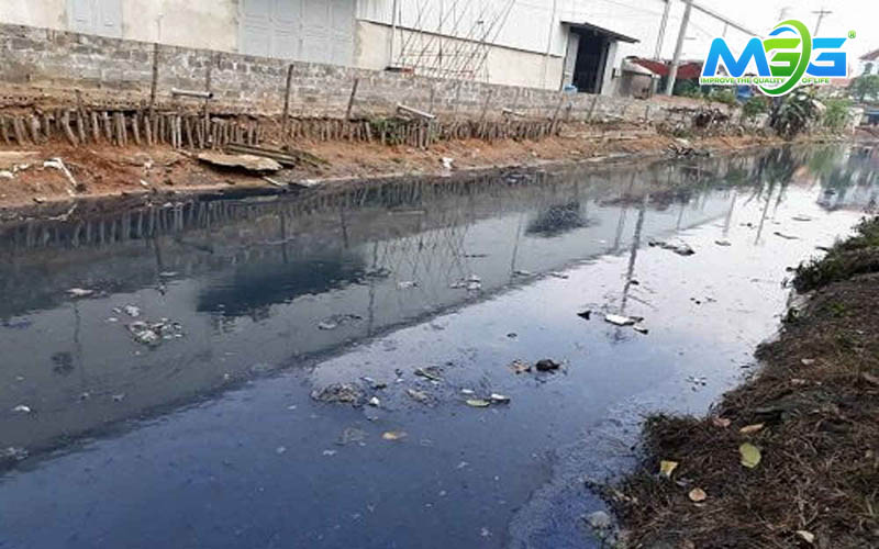 Nguồn phát sinh và đặc điểm của nước thải hữu cơ