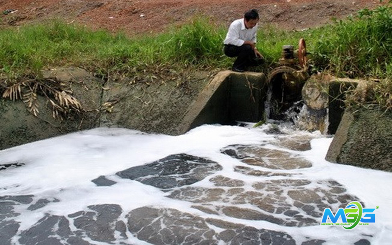 Nước thải xà phòng ảnh hưởng nghiêm trọng đến môi trường 