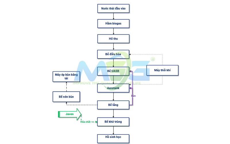 Tham khảo sơ đồ công nghệ xử lý nước thải chăn nuôi bò hiệu quả