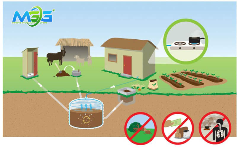 Xây dựng hệ thống hầm biogas