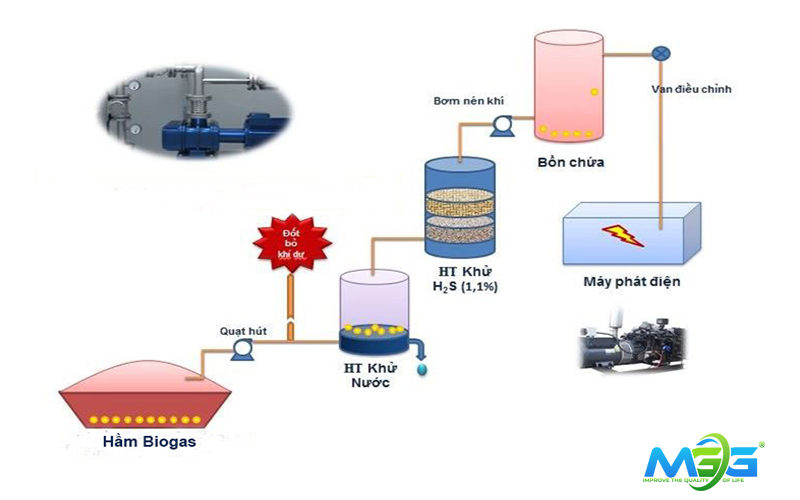 Xử lý nước thải chăn nuôi bằng hệ thống biogas yếm khí